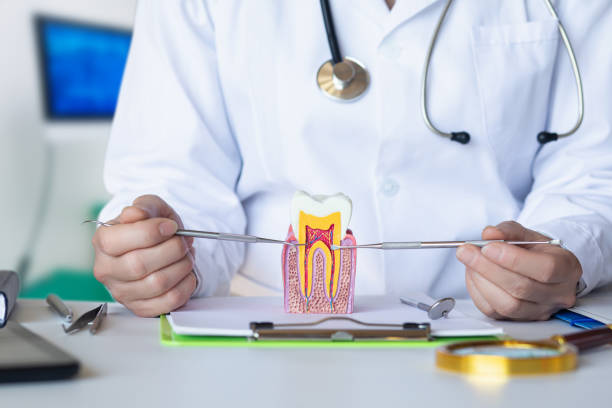 Best Emergency Dental Care for Sports Injuries in Hoyt Lakes, MN